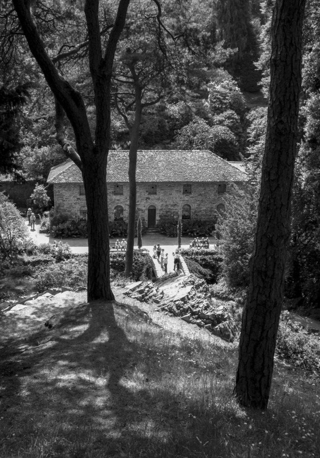 HC Down Through the Trees by Kevin Hilton